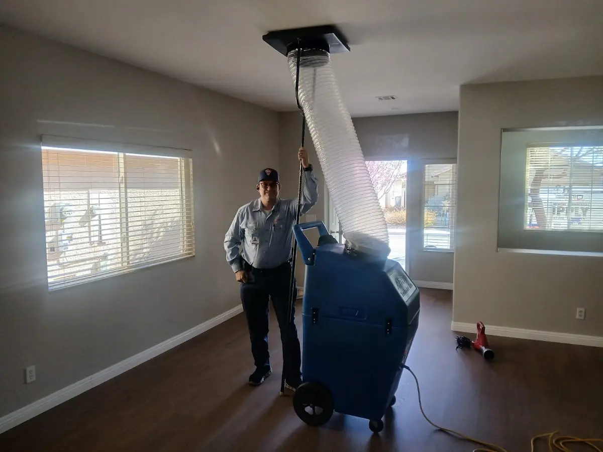 Professional Dryer Vent Cleaning work inside a Reynolds home